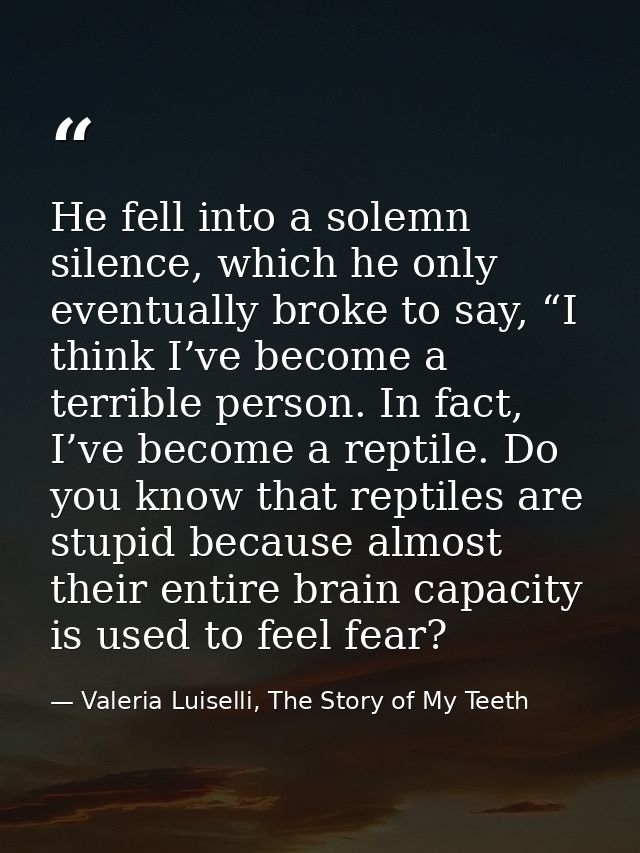 He fell into a solemn silence, which he only eventually broke to say, “I think I’ve become a terrible person. In fact, I — Valeria Luiselli, The Story of My Teeth