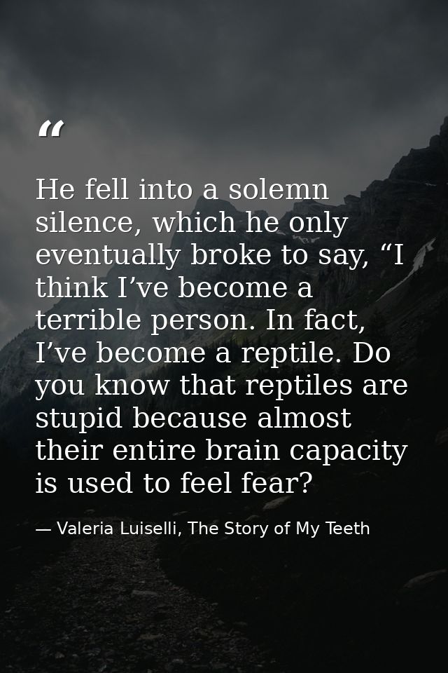 He fell into a solemn silence, which he only eventually broke to say, “I think I’ve become a terrible person. In fact, I — Valeria Luiselli, The Story of My Teeth