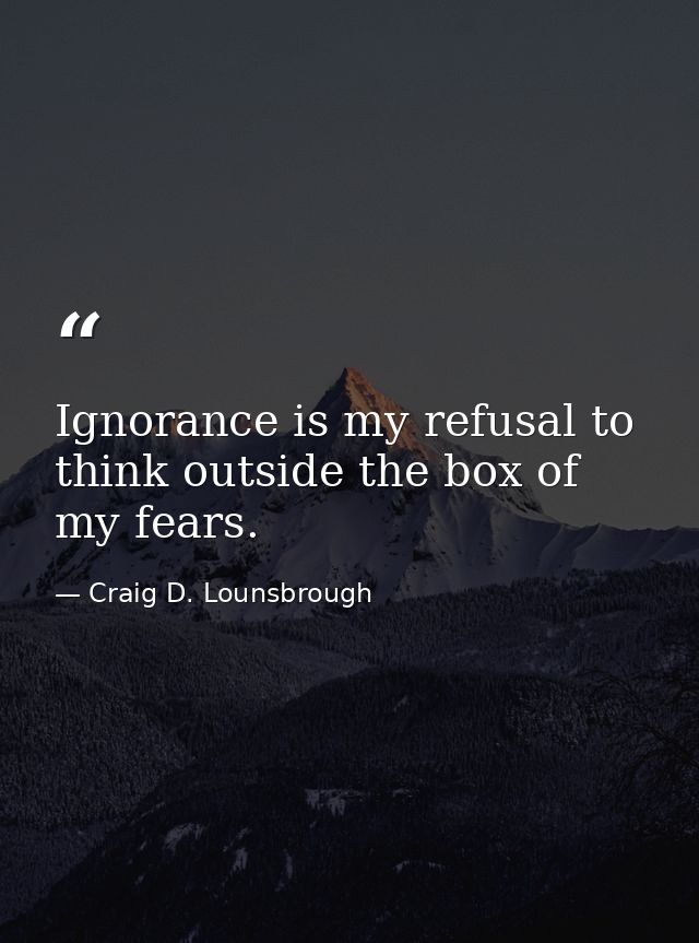 Ignorance is my refusal to think outside the box of my fears. — Craig D. Lounsbrough