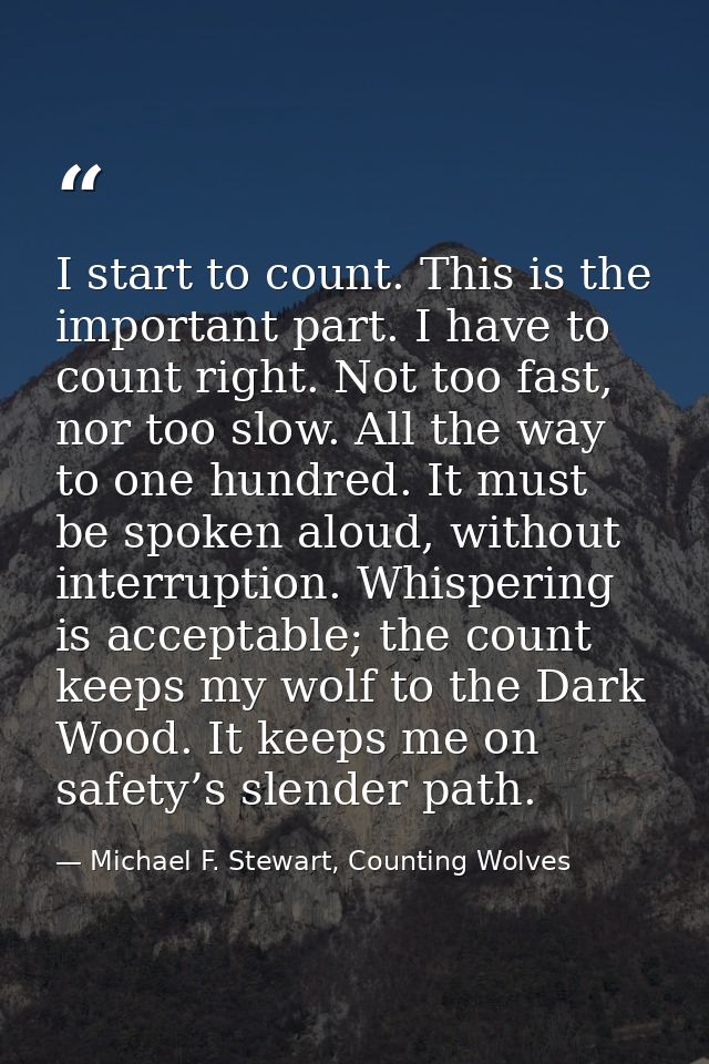 I start to count. This is the important part. I have to count right. Not too fast, nor too slow. All the way to one hund — Michael F. Stewart, Counting Wolves