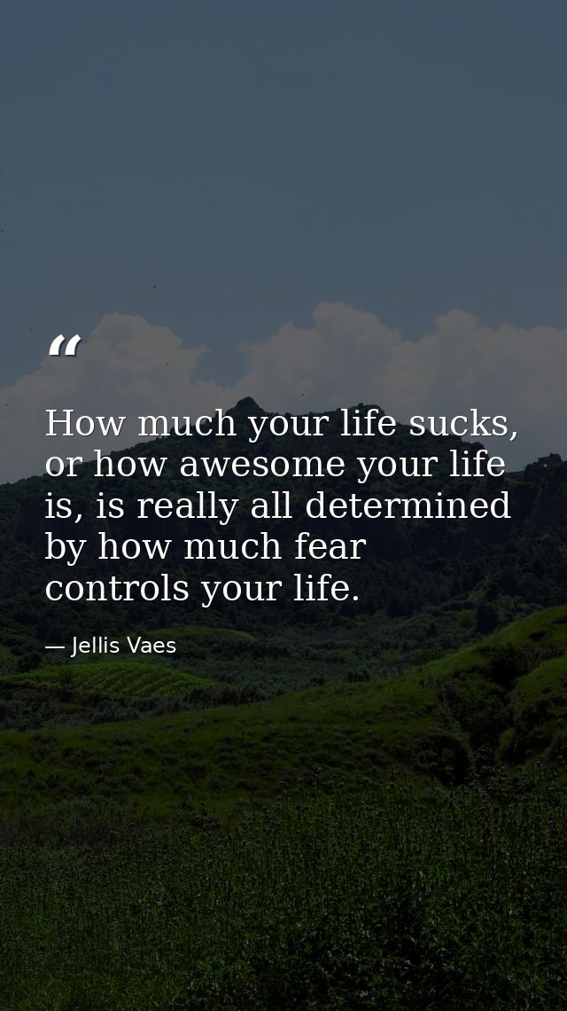 How much your life sucks, or how awesome your life is, is really all determined by how much fear controls your life. — Jellis Vaes