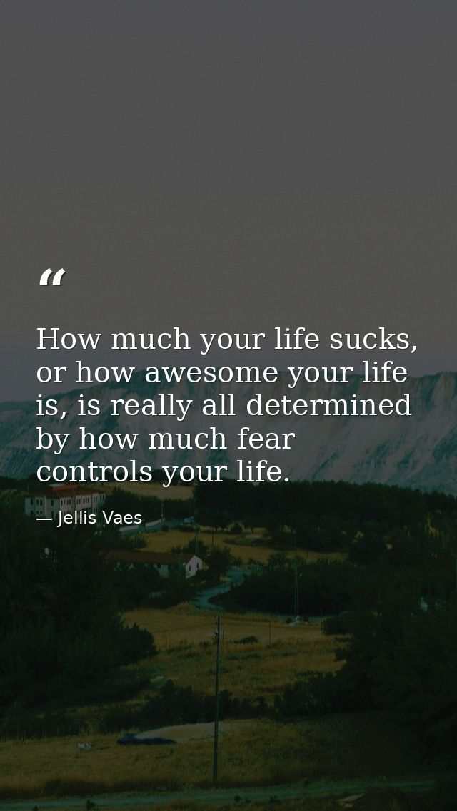 How much your life sucks, or how awesome your life is, is really all determined by how much fear controls your life. — Jellis Vaes