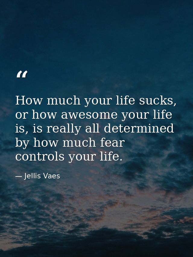 How much your life sucks, or how awesome your life is, is really all determined by how much fear controls your life. — Jellis Vaes