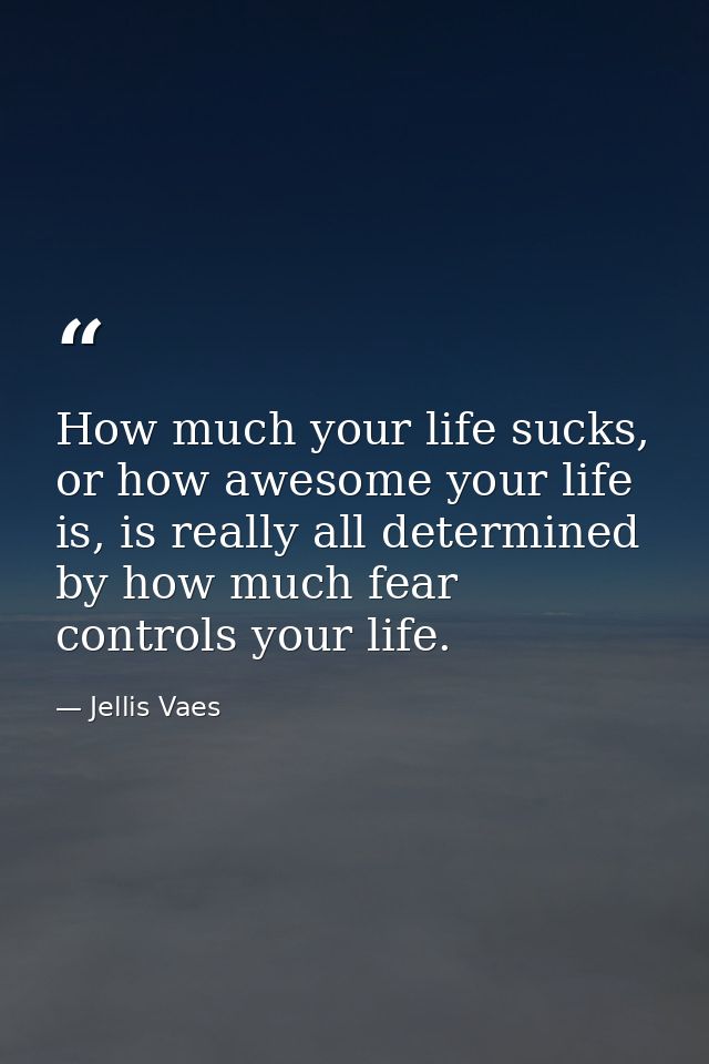 How much your life sucks, or how awesome your life is, is really all determined by how much fear controls your life. — Jellis Vaes
