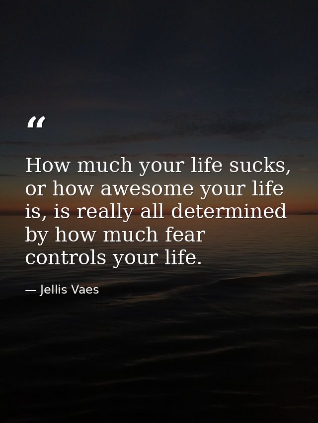 How much your life sucks, or how awesome your life is, is really all determined by how much fear controls your life. — Jellis Vaes