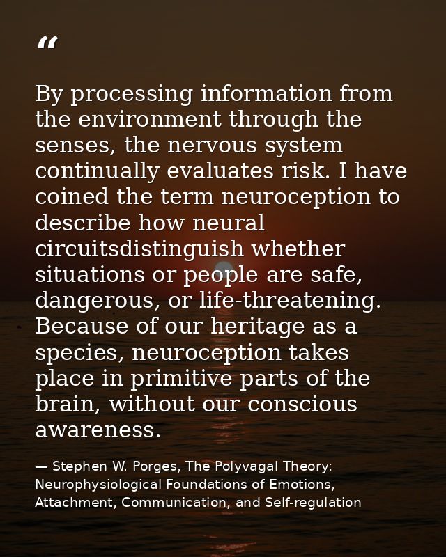 By processing information from the environment through the senses, the nervous system continually evaluates risk. I have — Stephen W. Porges, The Polyvagal Theory: Neurophysiological Foundations of Emotions, Attachment, Communication, and Self-regulation