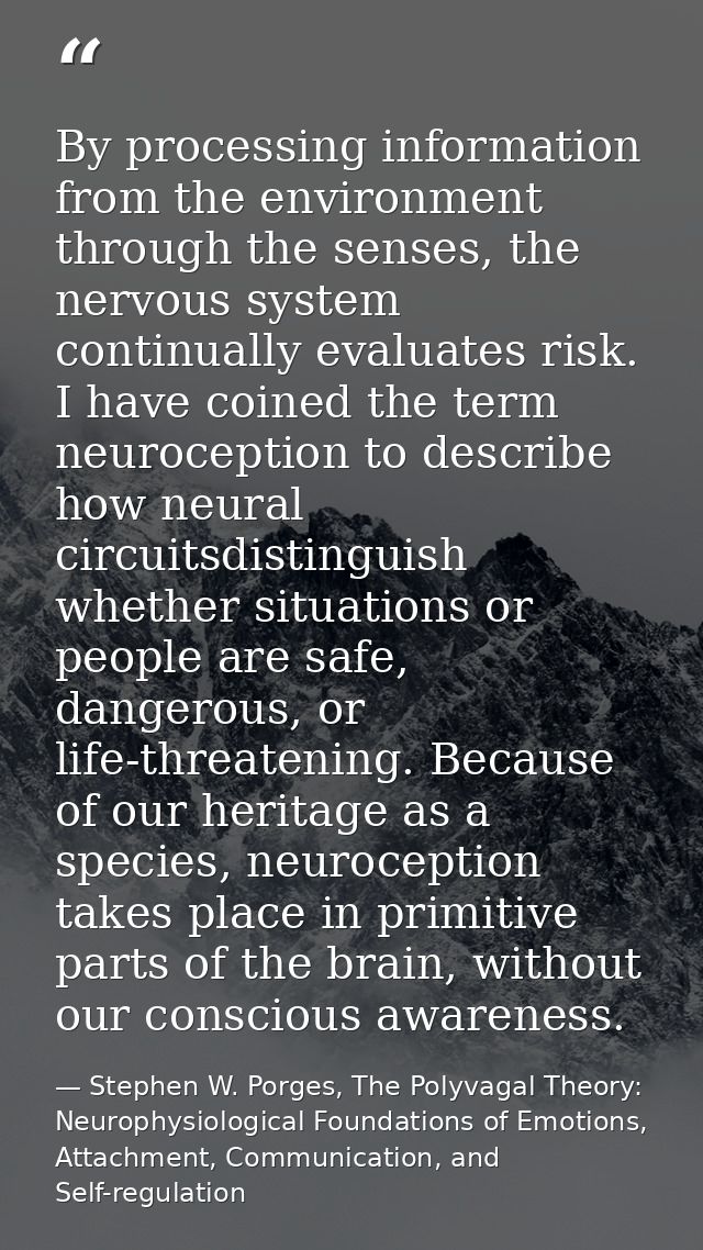 By processing information from the environment through the senses, the nervous system continually evaluates risk. I have — Stephen W. Porges, The Polyvagal Theory: Neurophysiological Foundations of Emotions, Attachment, Communication, and Self-regulation