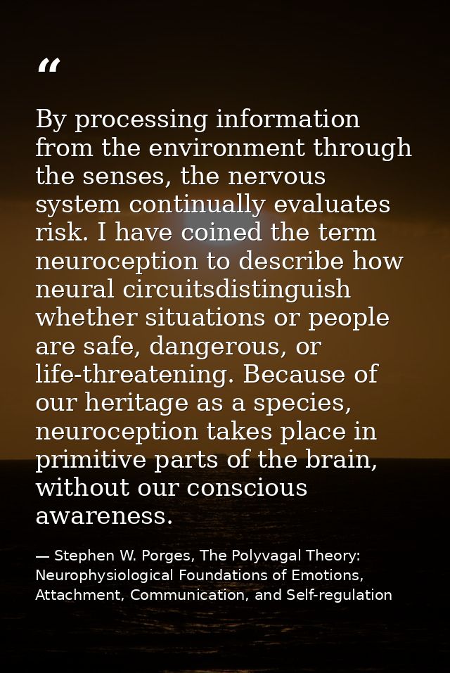 By processing information from the environment through the senses, the nervous system continually evaluates risk. I have — Stephen W. Porges, The Polyvagal Theory: Neurophysiological Foundations of Emotions, Attachment, Communication, and Self-regulation