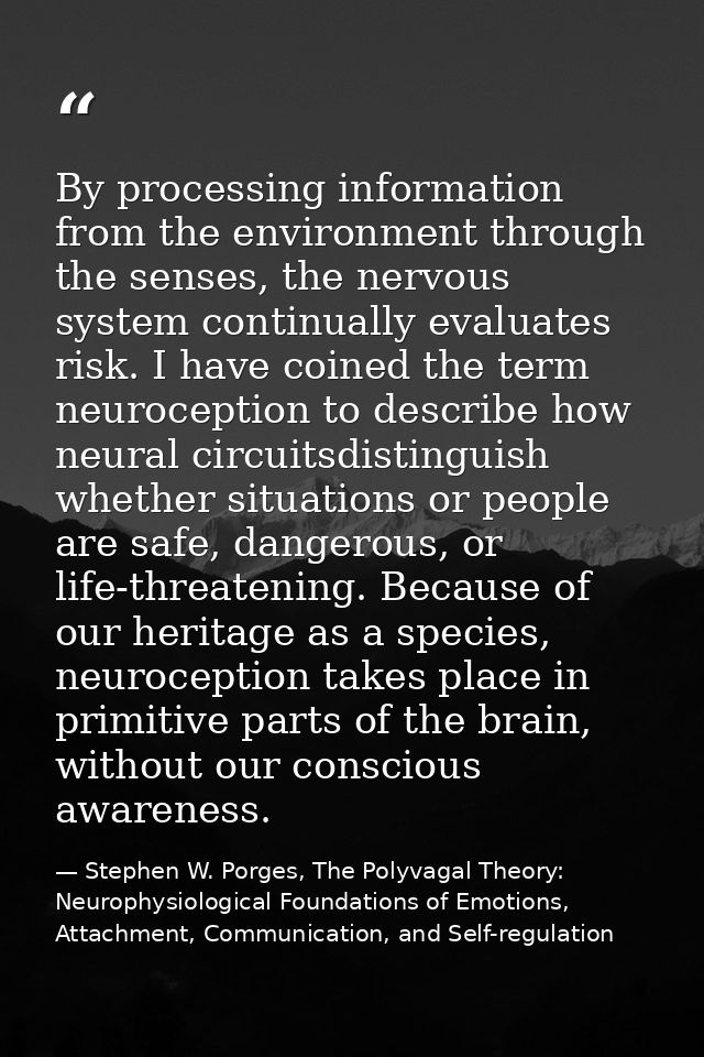 By processing information from the environment through the senses, the nervous system continually evaluates risk. I have — Stephen W. Porges, The Polyvagal Theory: Neurophysiological Foundations of Emotions, Attachment, Communication, and Self-regulation