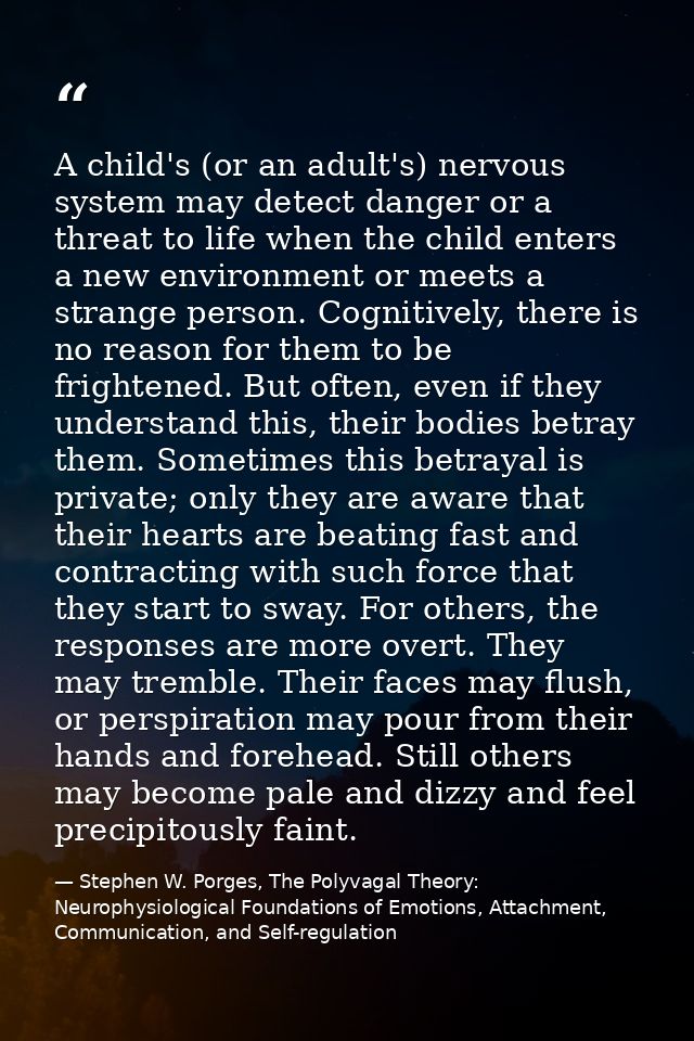 A child's (or an adult's) nervous system may detect danger or a threat to life when the child enters a new environment o — Stephen W. Porges, The Polyvagal Theory: Neurophysiological Foundations of Emotions, Attachment, Communication, and Self-regulation