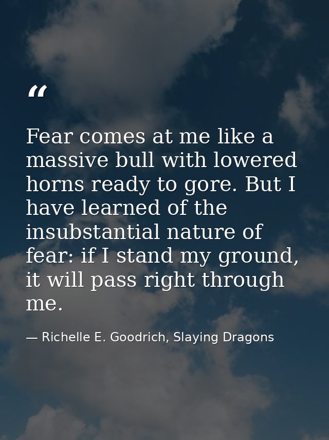 Fear comes at me like a massive bull with lowered horns ready to gore. But I have learned of the insubstantial nature of — Richelle E. Goodrich, Slaying Dragons