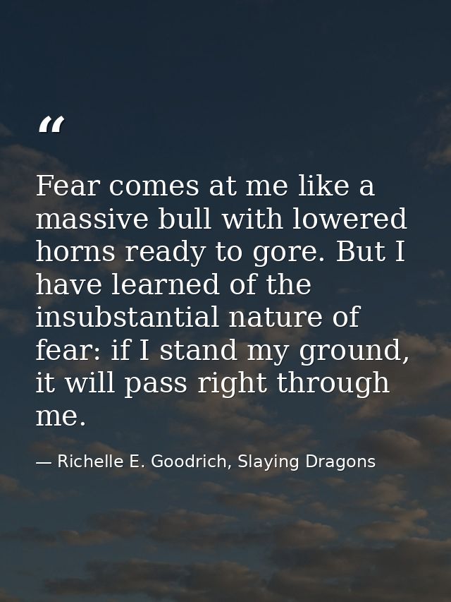 Fear comes at me like a massive bull with lowered horns ready to gore. But I have learned of the insubstantial nature of — Richelle E. Goodrich, Slaying Dragons