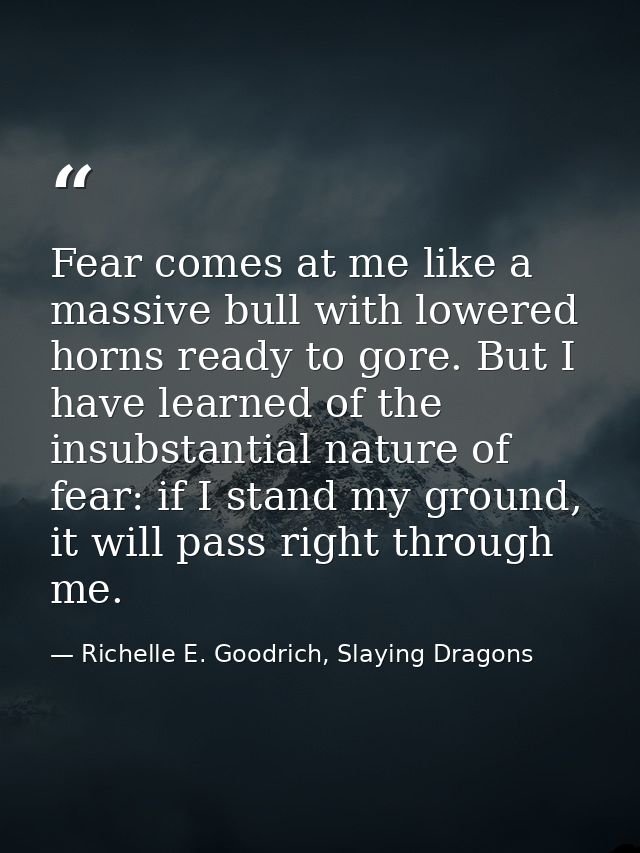Fear comes at me like a massive bull with lowered horns ready to gore. But I have learned of the insubstantial nature of — Richelle E. Goodrich, Slaying Dragons