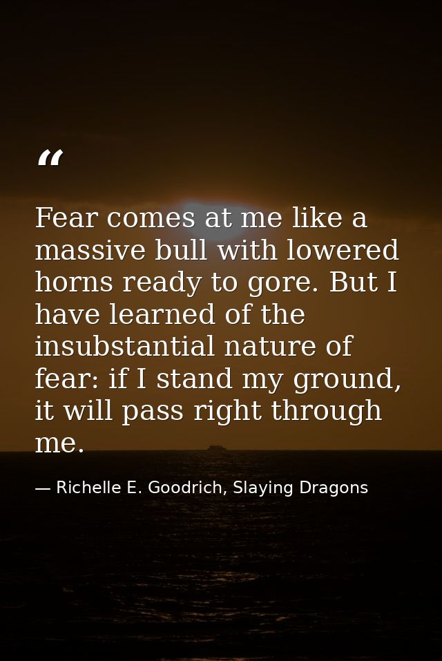 Fear comes at me like a massive bull with lowered horns ready to gore. But I have learned of the insubstantial nature of — Richelle E. Goodrich, Slaying Dragons