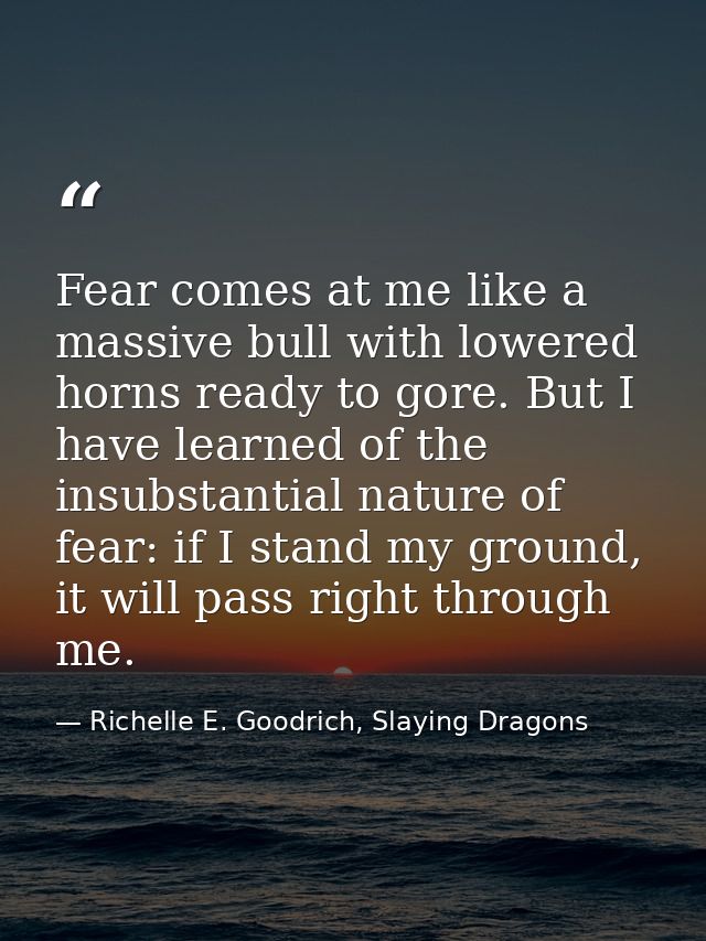 Fear comes at me like a massive bull with lowered horns ready to gore. But I have learned of the insubstantial nature of — Richelle E. Goodrich, Slaying Dragons