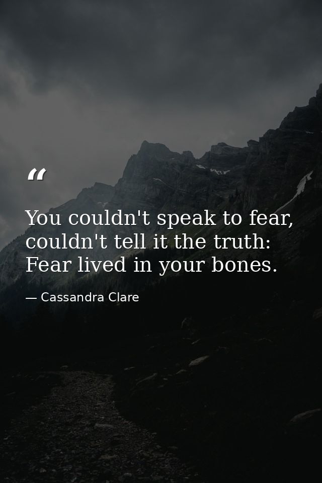 You couldn't speak to fear, couldn't tell it the truth: Fear lived in your bones. — Cassandra Clare