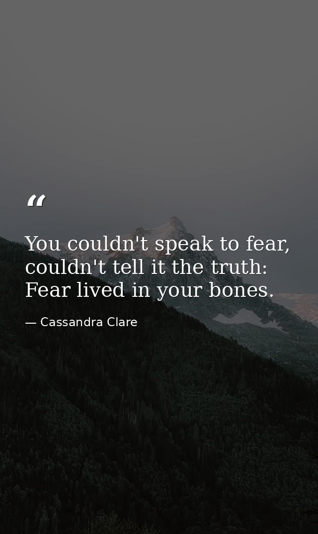 You couldn't speak to fear, couldn't tell it the truth: Fear lived in your bones. — Cassandra Clare