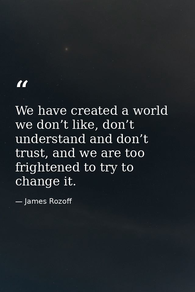 We have created a world we don’t like, don’t understand and don’t trust, and we are too frightened to try to change it. — James Rozoff