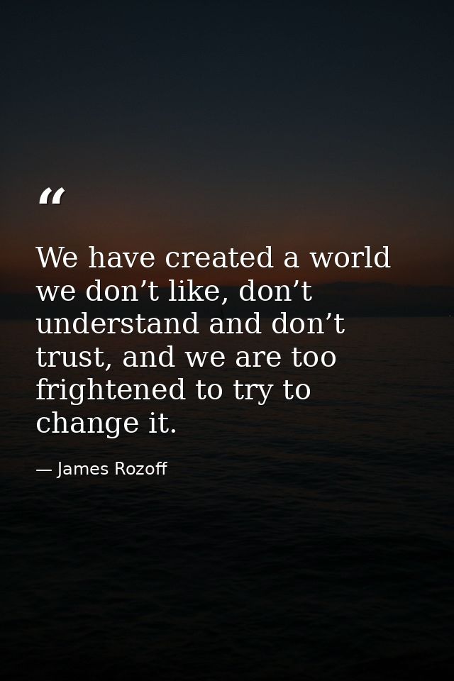 We have created a world we don’t like, don’t understand and don’t trust, and we are too frightened to try to change it. — James Rozoff