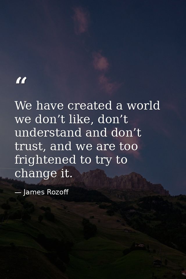 We have created a world we don’t like, don’t understand and don’t trust, and we are too frightened to try to change it. — James Rozoff
