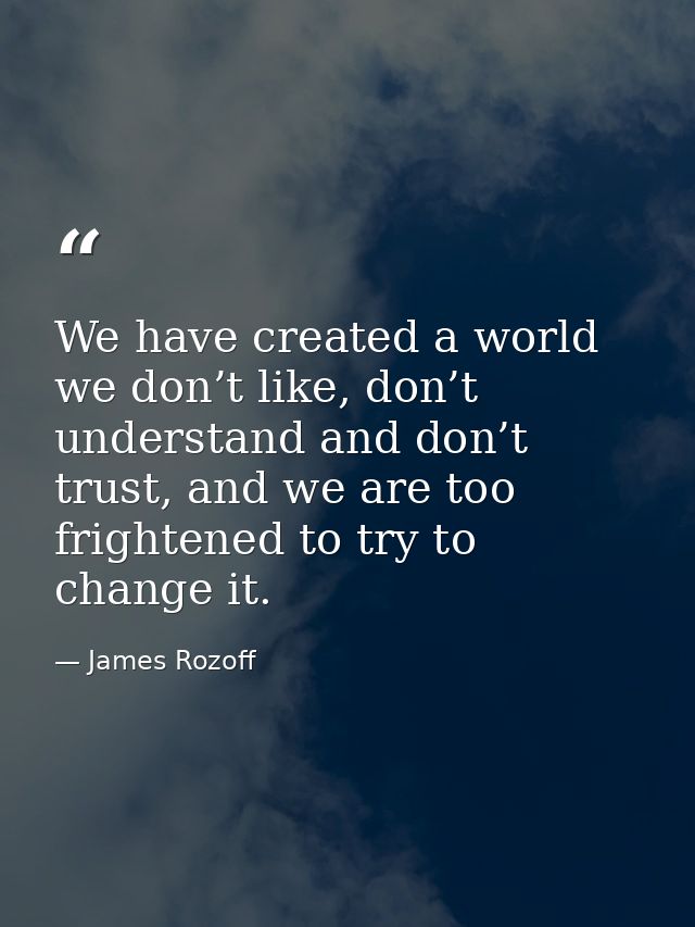 We have created a world we don’t like, don’t understand and don’t trust, and we are too frightened to try to change it. — James Rozoff