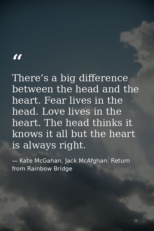 There’s a big difference between the head and the heart. Fear lives in the head. Love lives in the heart. The head think — Kate McGahan, Jack McAfghan: Return from Rainbow Bridge