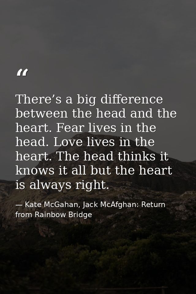 There’s a big difference between the head and the heart. Fear lives in the head. Love lives in the heart. The head think — Kate McGahan, Jack McAfghan: Return from Rainbow Bridge
