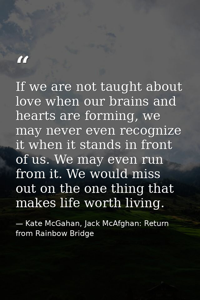 If we are not taught about love when our brains and hearts are forming, we may never even recognize it when it stands in — Kate McGahan, Jack McAfghan: Return from Rainbow Bridge