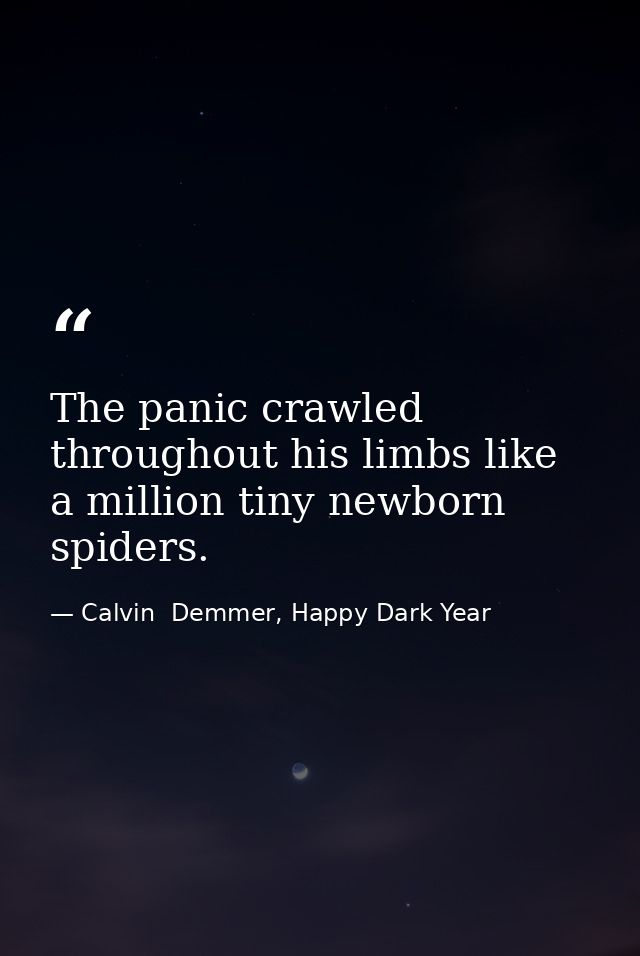 The panic crawled throughout his limbs like a million tiny newborn spiders. — Calvin  Demmer, Happy Dark Year