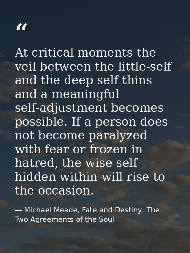 At critical moments the veil between the little-self and the deep self thins and a meaningful self-adjustment becomes po — Michael Meade, Fate and Destiny, The Two Agreements of the Soul