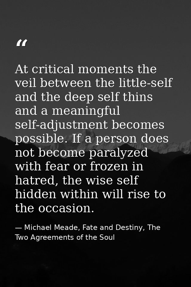 At critical moments the veil between the little-self and the deep self thins and a meaningful self-adjustment becomes po — Michael Meade, Fate and Destiny, The Two Agreements of the Soul