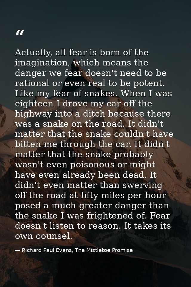 Actually, all fear is born of the imagination, which means the danger we fear doesn't need to be rational or even real t — Richard Paul Evans, The Mistletoe Promise