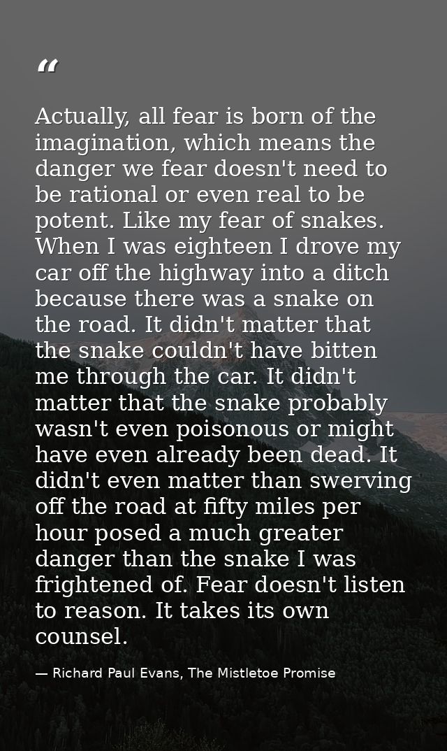 Actually, all fear is born of the imagination, which means the danger we fear doesn't need to be rational or even real t — Richard Paul Evans, The Mistletoe Promise