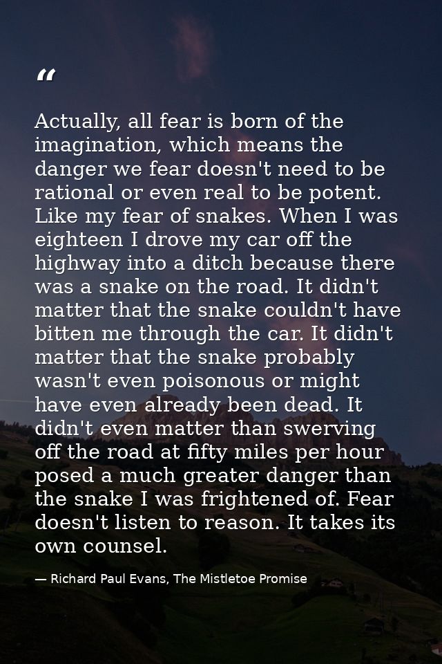 Actually, all fear is born of the imagination, which means the danger we fear doesn't need to be rational or even real t — Richard Paul Evans, The Mistletoe Promise