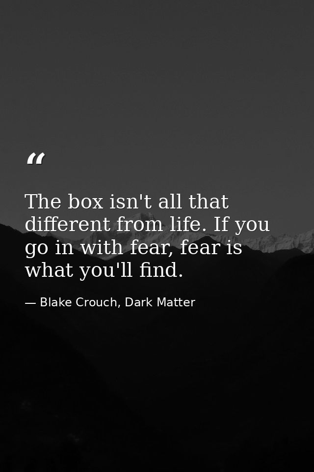 The box isn't all that different from life. If you go in with fear, fear is what you'll find. — Blake Crouch, Dark Matter