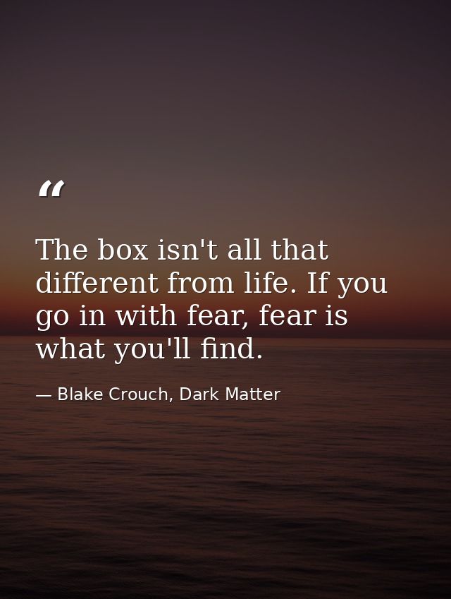 The box isn't all that different from life. If you go in with fear, fear is what you'll find. — Blake Crouch, Dark Matter