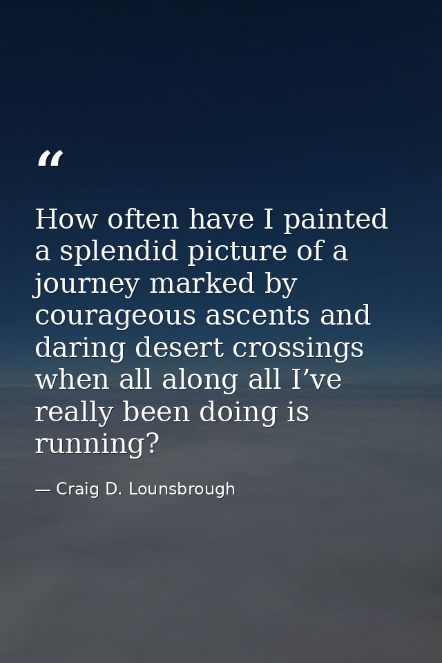 How often have I painted a splendid picture of a journey marked by courageous ascents and daring desert crossings when a — Craig D. Lounsbrough