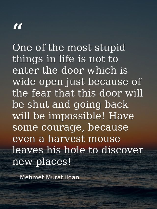 One of the most stupid things in life is not to enter the door which is wide open just because of the fear that this doo — Mehmet Murat ildan
