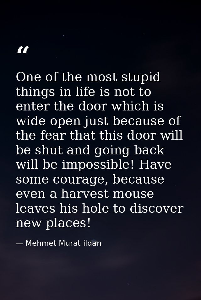 One of the most stupid things in life is not to enter the door which is wide open just because of the fear that this doo — Mehmet Murat ildan
