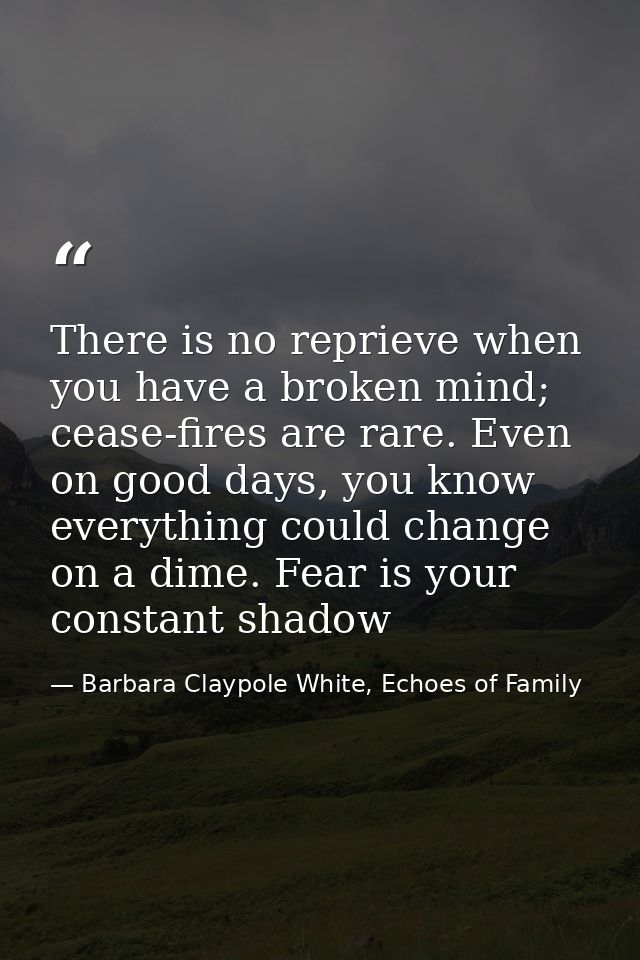 There is no reprieve when you have a broken mind; cease-fires are rare. Even on good days, you know everything could cha — Barbara Claypole White, Echoes of Family