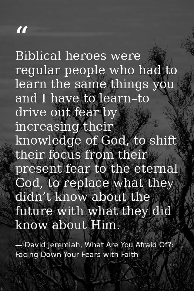 Biblical heroes were regular people who had to learn the same things you and I have to learn–to drive out fear by increa — David Jeremiah, What Are You Afraid Of?: Facing Down Your Fears with Faith