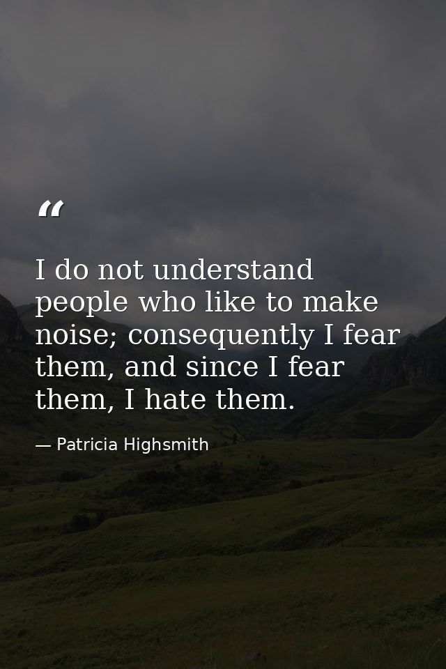 I do not understand people who like to make noise; consequently I fear them, and since I fear them, I hate them. — Patricia Highsmith