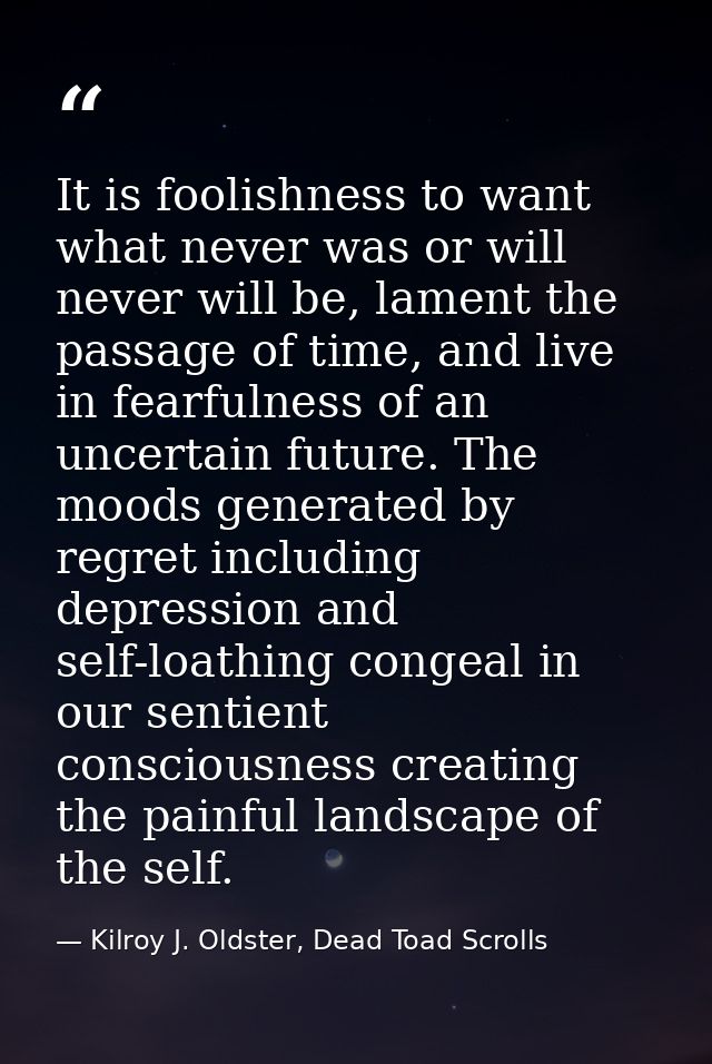 It is foolishness to want what never was or will never will be, lament the passage of time, and live in fearfulness of a — Kilroy J. Oldster, Dead Toad Scrolls