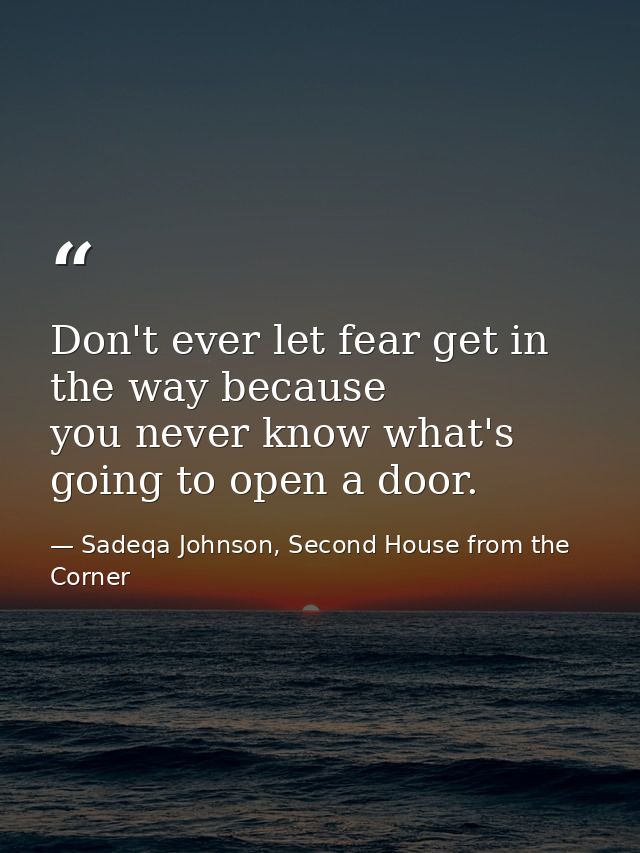Don't ever let fear get in the way because you never know what's going to open a door. — Sadeqa Johnson, Second House from the Corner
