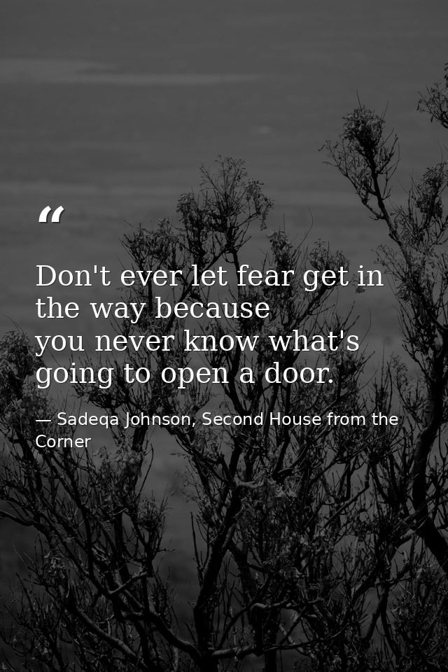 Don't ever let fear get in the way because you never know what's going to open a door. — Sadeqa Johnson, Second House from the Corner