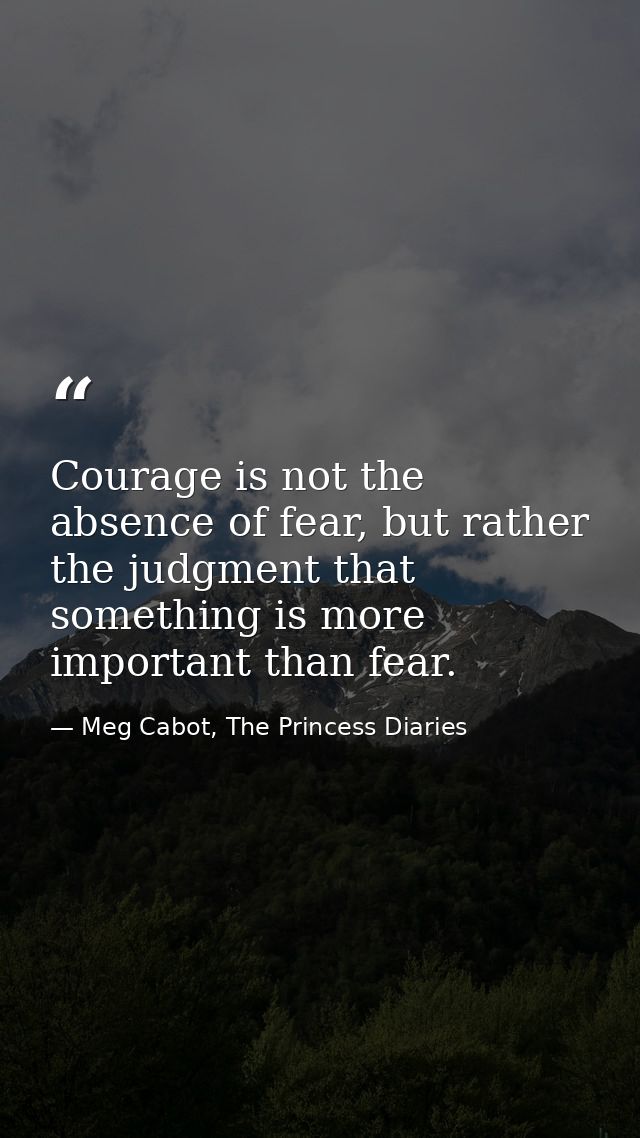 Courage is not the absence of fear, but rather the judgment that something is more important than fear. — Meg Cabot, The Princess Diaries