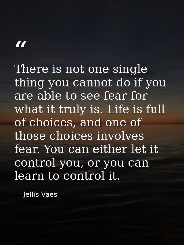 There is not one single thing you cannot do if you are able to see fear for what it truly is. Life is full of choices, a — Jellis Vaes