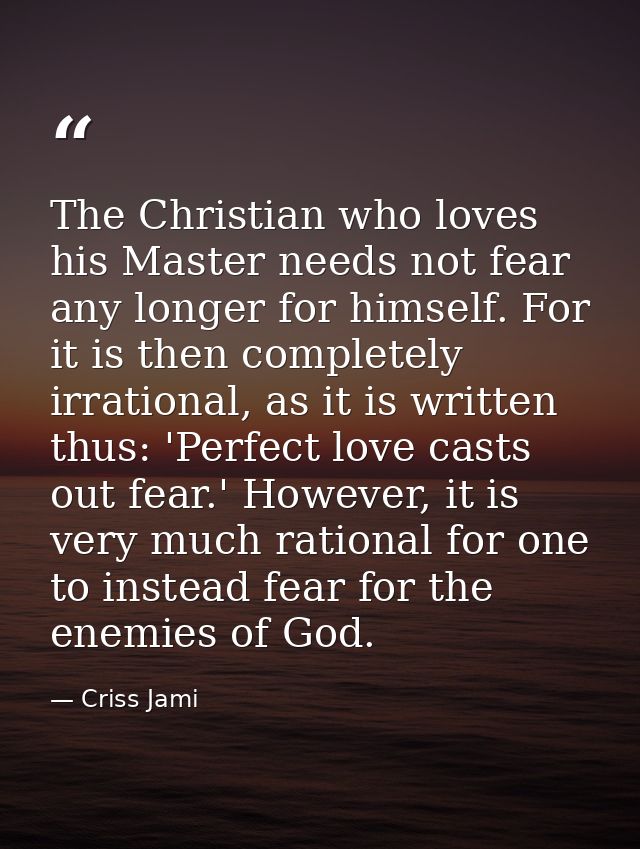 The Christian who loves his Master needs not fear any longer for himself. For it is then completely irrational, as it is — Criss Jami