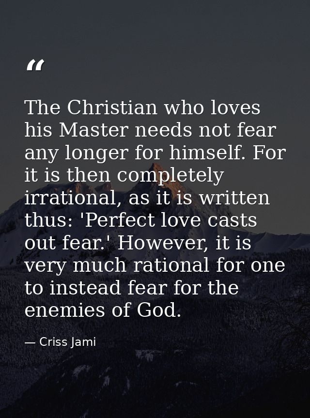 The Christian who loves his Master needs not fear any longer for himself. For it is then completely irrational, as it is — Criss Jami