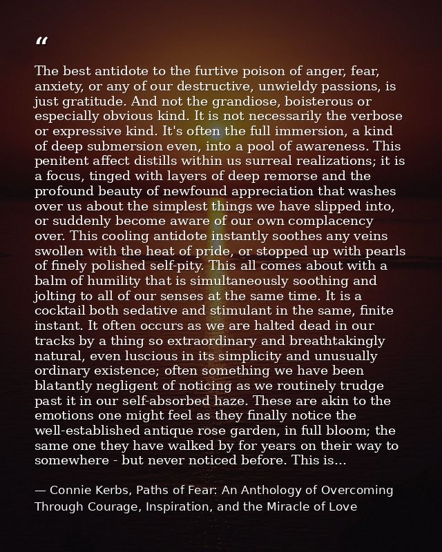 The best antidote to the furtive poison of anger, fear, anxiety, or any of our destructive, unwieldy passions, is just g — Connie Kerbs, Paths of Fear: An Anthology of Overcoming Through Courage, Inspiration, and the Miracle of Love